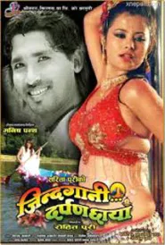 Jindagani Darpan Chhaya (2012) poster