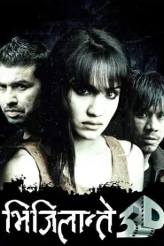 Vijilante 3D (2013) poster