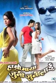 Hamro Maya Juni Junilai (2011) poster