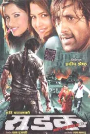 Sadak (2012) poster