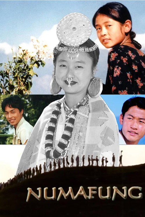 Numafung (2001) poster