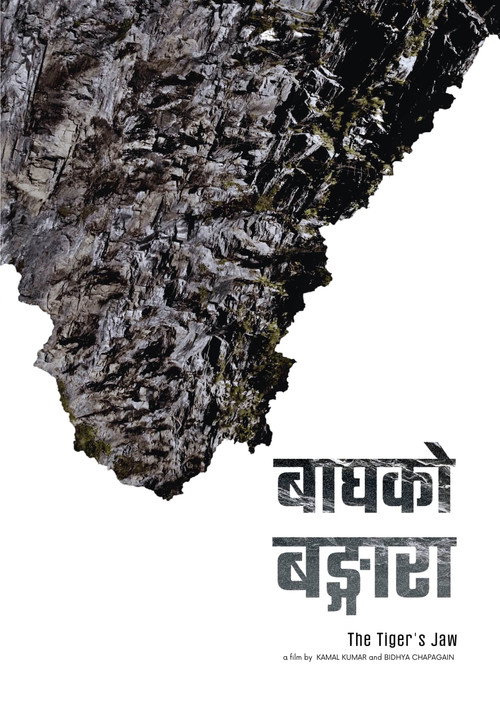 The Tiger's Jaw (2023) poster