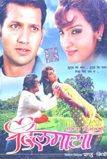 Dilmaya (2011) poster