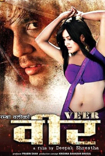 Veer (2013) poster