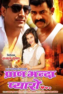 Pran Bhanda Pyaro (2013) poster