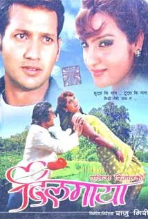 Dilmaya (2011) poster