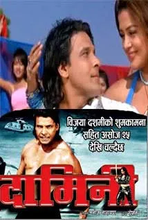 Damini (2013) poster